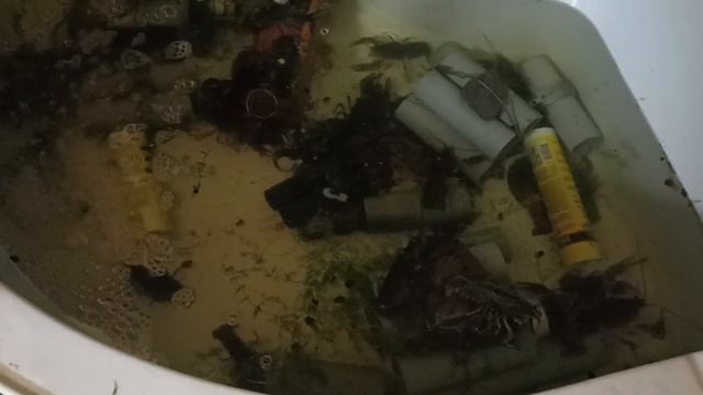 душевой поддон для рыбок смотреть онлайн