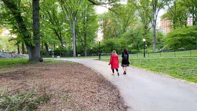 New York City Live: Central Park at Sunset смотреть онлайн