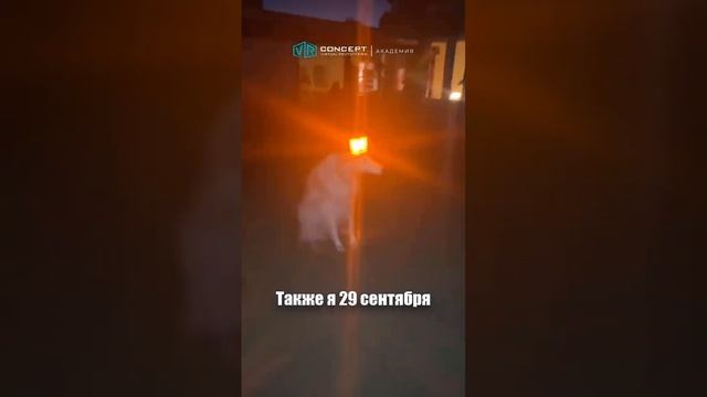 Успейте подать заявку на Акселератор до 30 сентября! #vr #vrconcept #акселератор #bim #cad смотреть онлайн