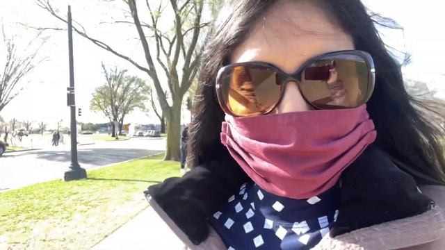 WASHINGTON DC Day - 1 | Hotel Room Tour | Cherry Blossoms 🌸 | Travel Vlog | Kannada Vlogs смотреть онлайн