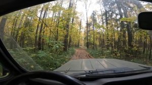 Жизнь на осенней даче. Первая неделя октября.