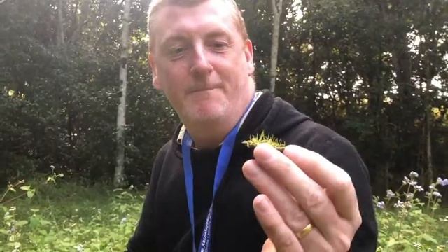 The magical world of bryophytes with Andrew Franks - DiscoveryLab Series 8.1 смотреть онлайн