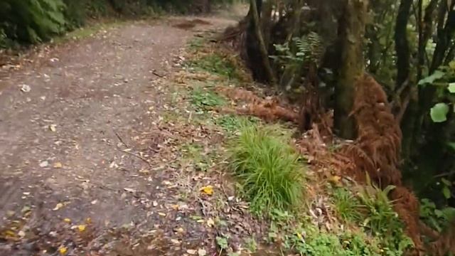 S1 Ep8: Te Araroa Trail, tough week for Clare - Pirongia to Taumaranui смотреть онлайн
