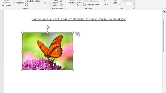 How to apply soft edge rectangle picture style in word mac смотреть онлайн
