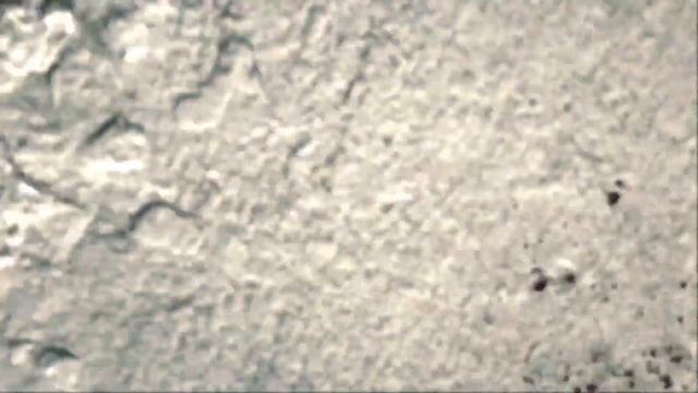 ?? OTTER IN MODERN WARFARE 2 ?? [GAZ & PRICE EXECUTE HIM] MW2 EXECUTIONS смотреть онлайн