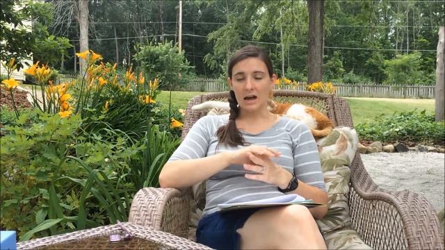 How to Use the Remote Trainer to Train Your Dog Greenville Dog Training смотреть онлайн