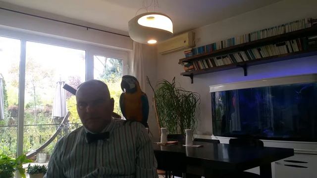 Note on Julieta, writer, director Pedro Almodovar, with Emma Suarez смотреть онлайн