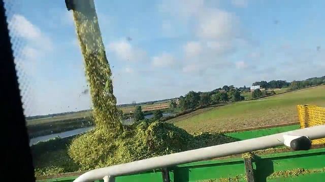 Kiszonka z QQ 2017! Claas Jaguar 840**8 ciągników w akcji! смотреть онлайн