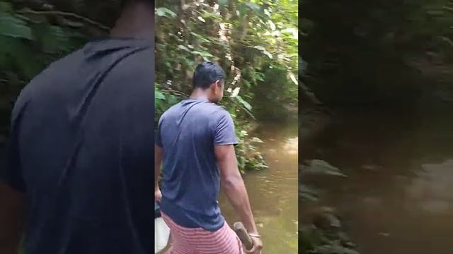 আমার শেষ ভিডিও ,Last Forest Vlog (Bubi) .#Gangini #GanginiKundo #Makumchora #laljuri смотреть онлайн