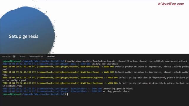 Native Hyperledger Fabric Setup смотреть онлайн