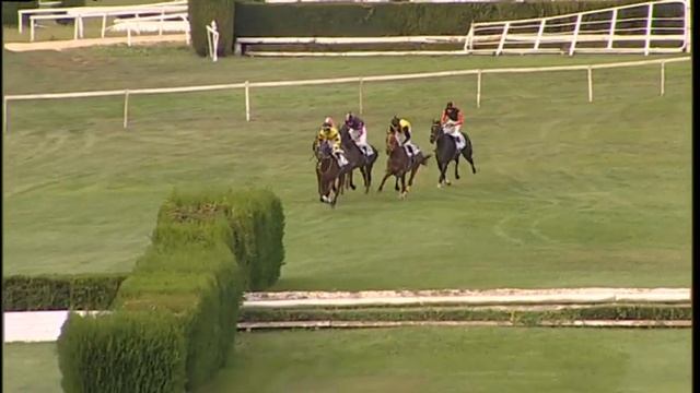 17 settembre 2023 - 3a corsa: Premio MAC COTRUZIONI смотреть онлайн