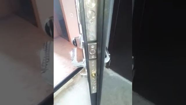 ДВЕРЬ ГАРДА МУАР 8 ММ, ДУБ СОНОМА смотреть онлайн