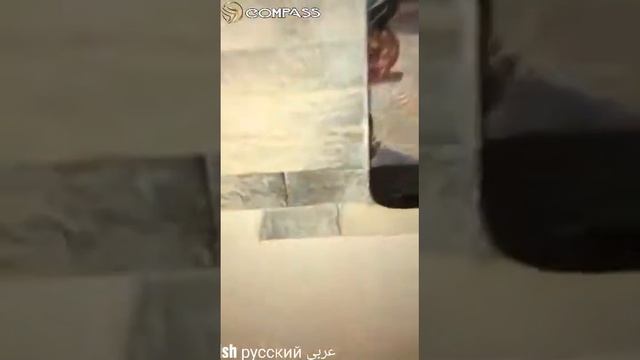 продам кафе на Карла Маркса 88 للبيع مطعم على الكارلاماركسا смотреть онлайн