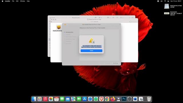 Final Cut Pro X Graphics Configuration Not Supported in VMware смотреть онлайн