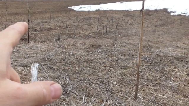 Открытие сезона 2024