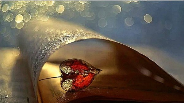 Легендарная музыка Стинга о хрупкости жизни. Sting-Fragile