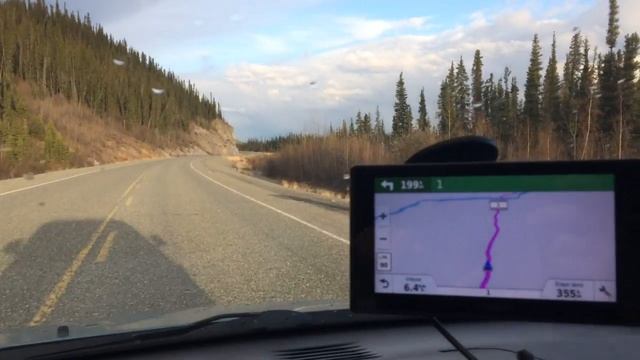 Bear watching - Alaska Highway, Yukon, Canada смотреть онлайн