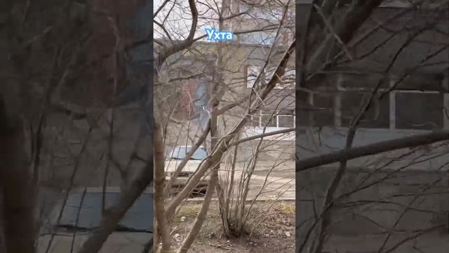 #Ухта …мозаика на бывшем здании Главкомигазнефтестрой…Республика Коми…05.05.2024