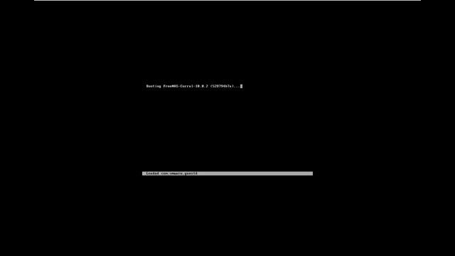 FreeNas Corral VM ESXI Direct access to Storage смотреть онлайн