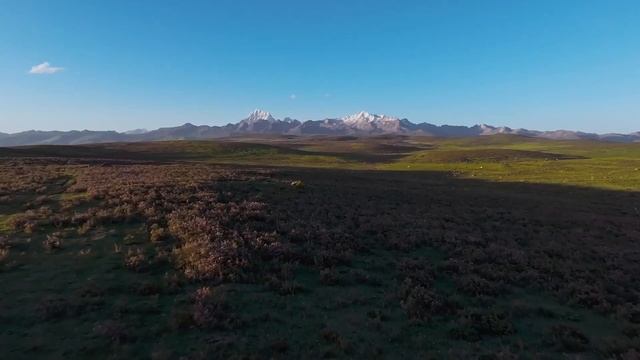 Polestones 01 | Official Video