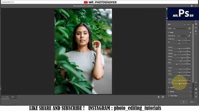 Moody Blue Camera Raw Preset 🔥 смотреть онлайн