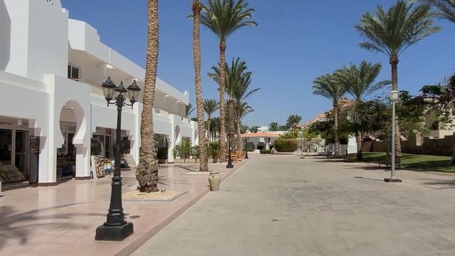 Отель Baron Palms Sharm El Sheikh, идём с пляжа на бассейн