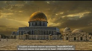 Захир Махмуд (Зов Палестины)