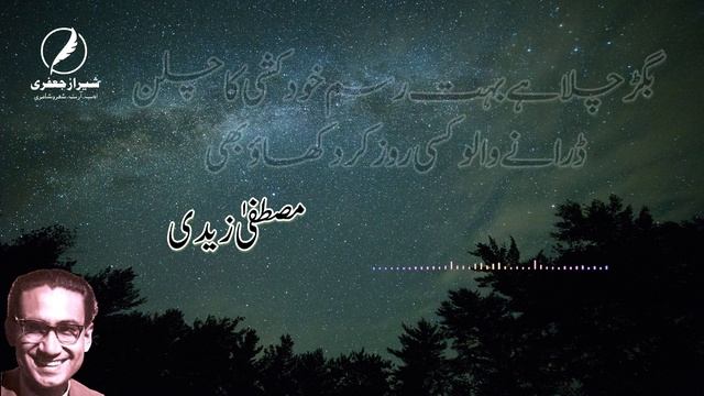 Mustafa Zaidi | Ghazal | Woh Ahd Ahd hi Kia hy | Urdu | Hindi | Status смотреть онлайн