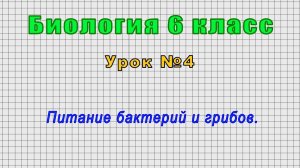 Биология 6 класс (Урок№4 - Питание бактерий и грибов.)