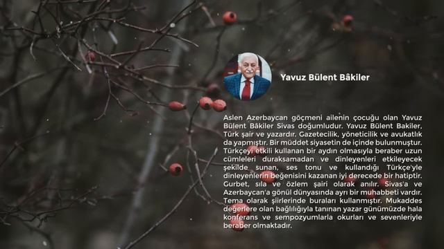 Sen Sen Sen | Yavuz Bülent Bâkiler смотреть онлайн