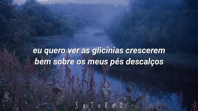 taylor swift | the lakes (tradução/legendado) смотреть онлайн