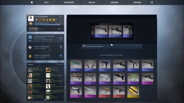 Operation Wildfire HYPE!! (29 Wildfire Case Opening) смотреть онлайн