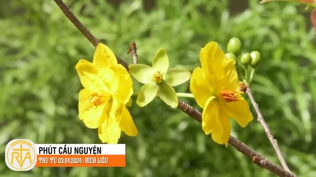 Phút Cầu Nguyện, Thứ Tư 03/04/2024: Món quà Phục Sinh смотреть онлайн