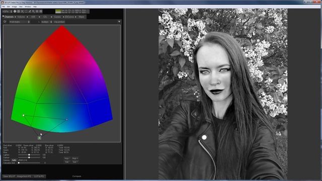 Speedy grade in 3D LUT Creator, Part 15 (Horror Edit) смотреть онлайн