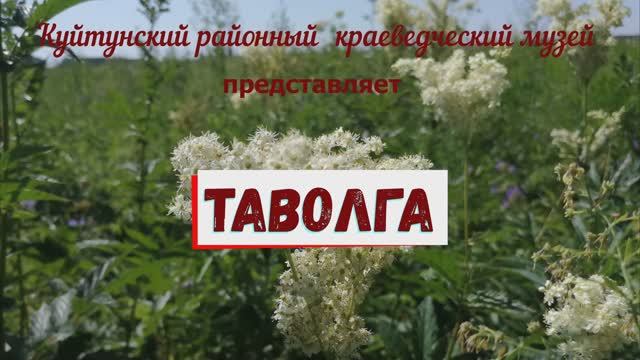 таволга.mp4 смотреть онлайн