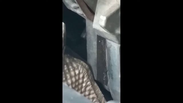 🚘NMD | Nomor Mesin Daihatsu Sirion || Den Budiman