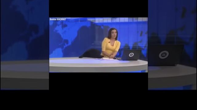 Dünya genelinde kayda geçmiş en utanç verici canlı yayın kazaları😱😱 смотреть онлайн