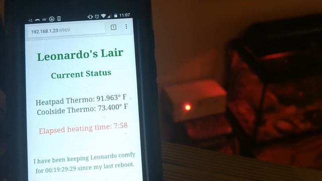 Gecko Habitat Temp. Controller - Arduino coded ESP8266 смотреть онлайн