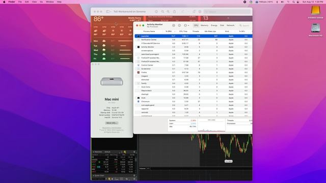 ToS Workaround on macOS Sonoma Beta смотреть онлайн