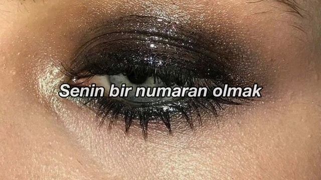 sir chloe // animal (türkçe çeviri) смотреть онлайн