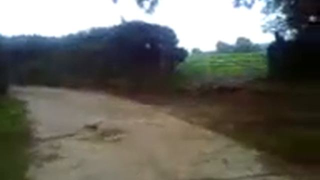 Daihatsu braking skills смотреть онлайн