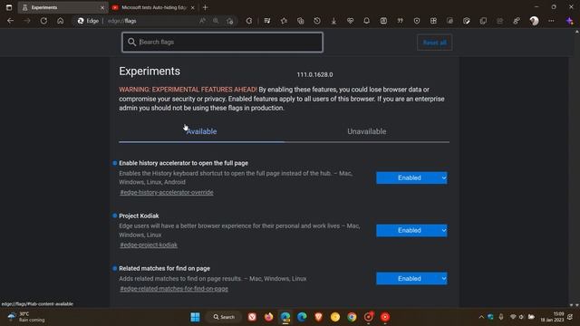 Edge Canary: New "Filter your search" | Several flags have been restored смотреть онлайн