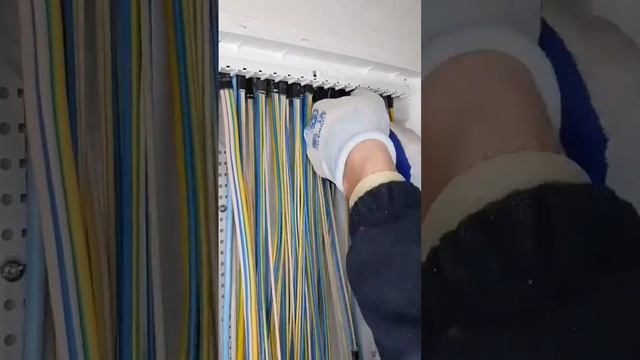 Чем снимать изоляцию с кабеля? Конечно же стриппером Jokari Allrounder 👍☺️ #стриппер #jokari #кабел смотреть онлайн