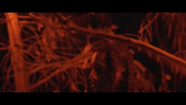 Mac J - Ma Fault (Dir.By RedFoxProd.) смотреть онлайн