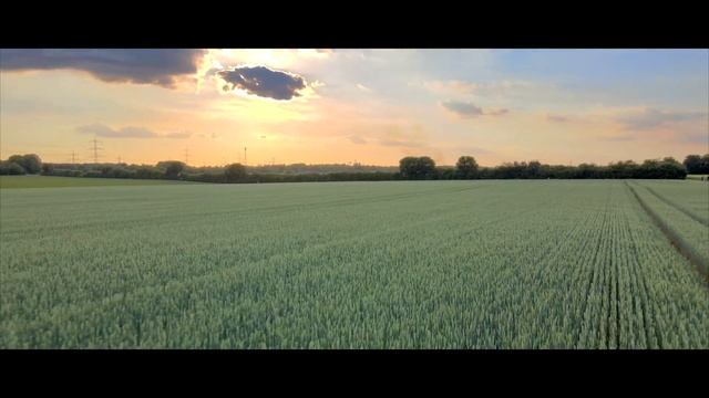 DJI Mavic Air 2, test, HDR, D-Cinelike, graded in Final Cut Pro X смотреть онлайн