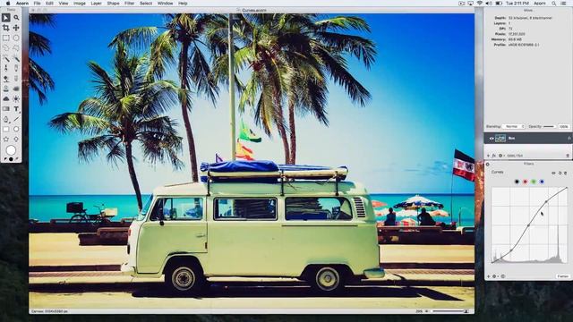 Curves Filter in Acorn 6 смотреть онлайн