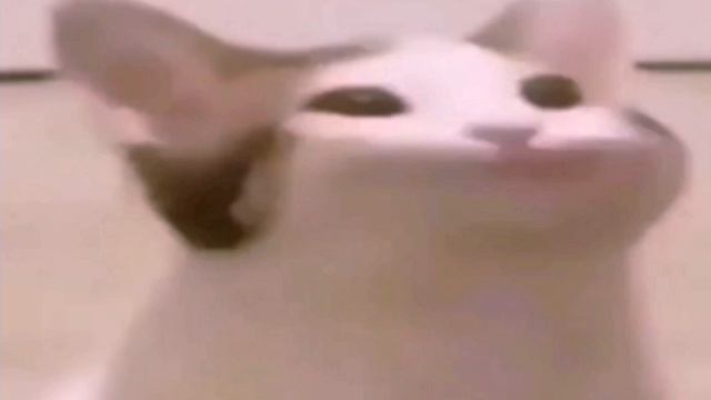 Кот широко открывает рот смотреть онлайн