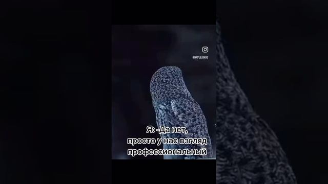 1000063421.mp4 смотреть онлайн
