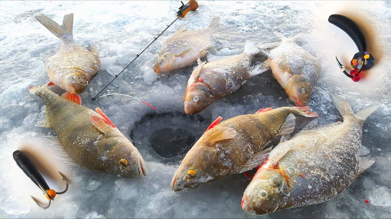 МОРОЗ ТРЕЩИТ, РЫБА КЛЮЁТ !!! БЕЗМОТЫЛКА в деле !!! Первый лёд на водохранилище ! смотреть онлайн