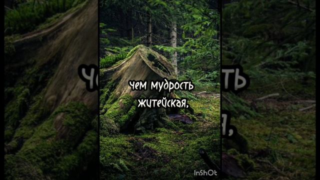 Речи Высокого 11 смотреть онлайн